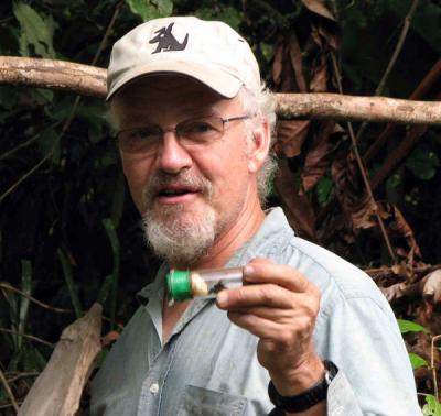 David Roubik, Smithsonian Tropical Research Institute