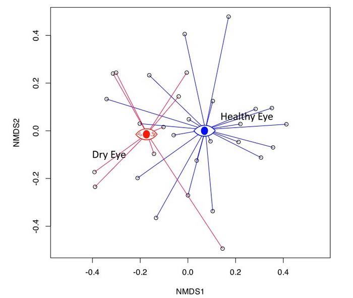 Differences in the bacterial species distribution
