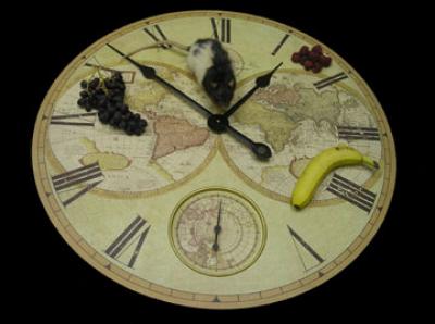 Where is the Cheese?