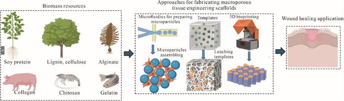 Macroporous scaffolds based on biomass polymers and their applications in wound healing