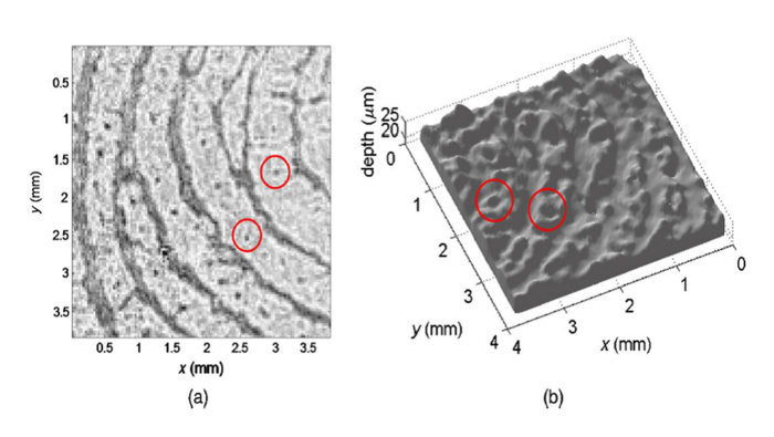 Reconstruction of latent fingerprints