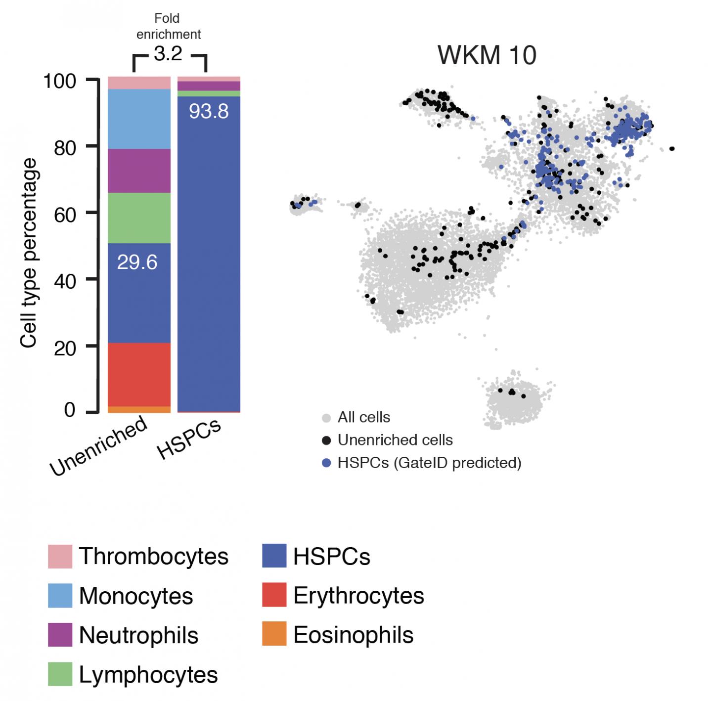 GateID Strongly Enriched the Desired Cell Type