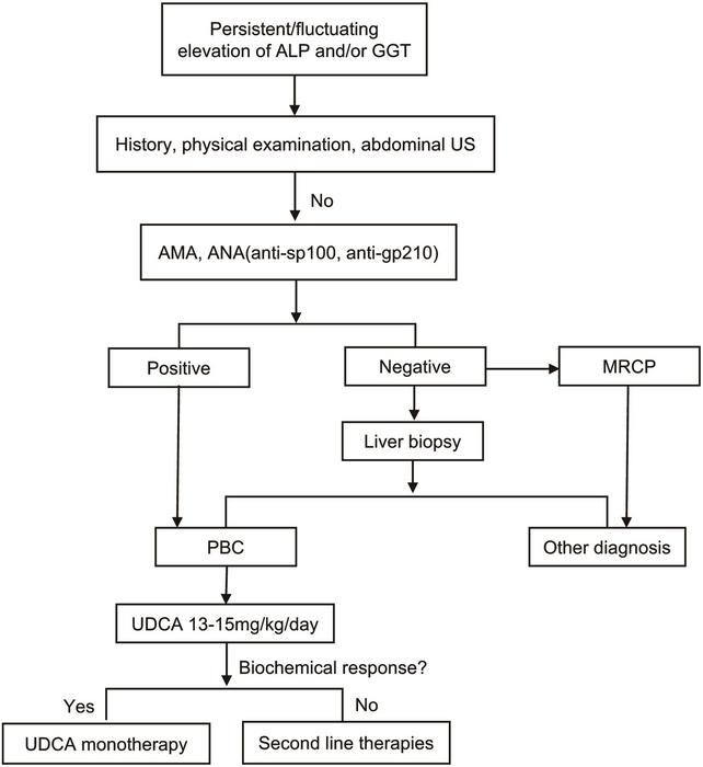 Guidelines on the Diagnosis and Management of Primary Biliary Cholangitis