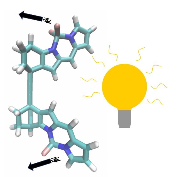 A Superfast Molecular Motor