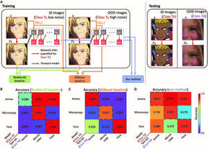 Out-of-distribution image detection using cycle-consistency-based uncertainty and bias estimators.