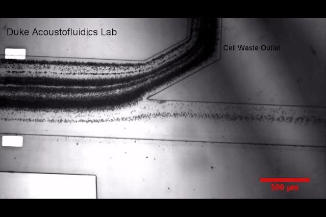 Exosome Separation 2