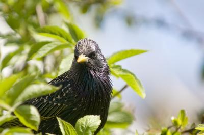 I've Got My Eye on You ...