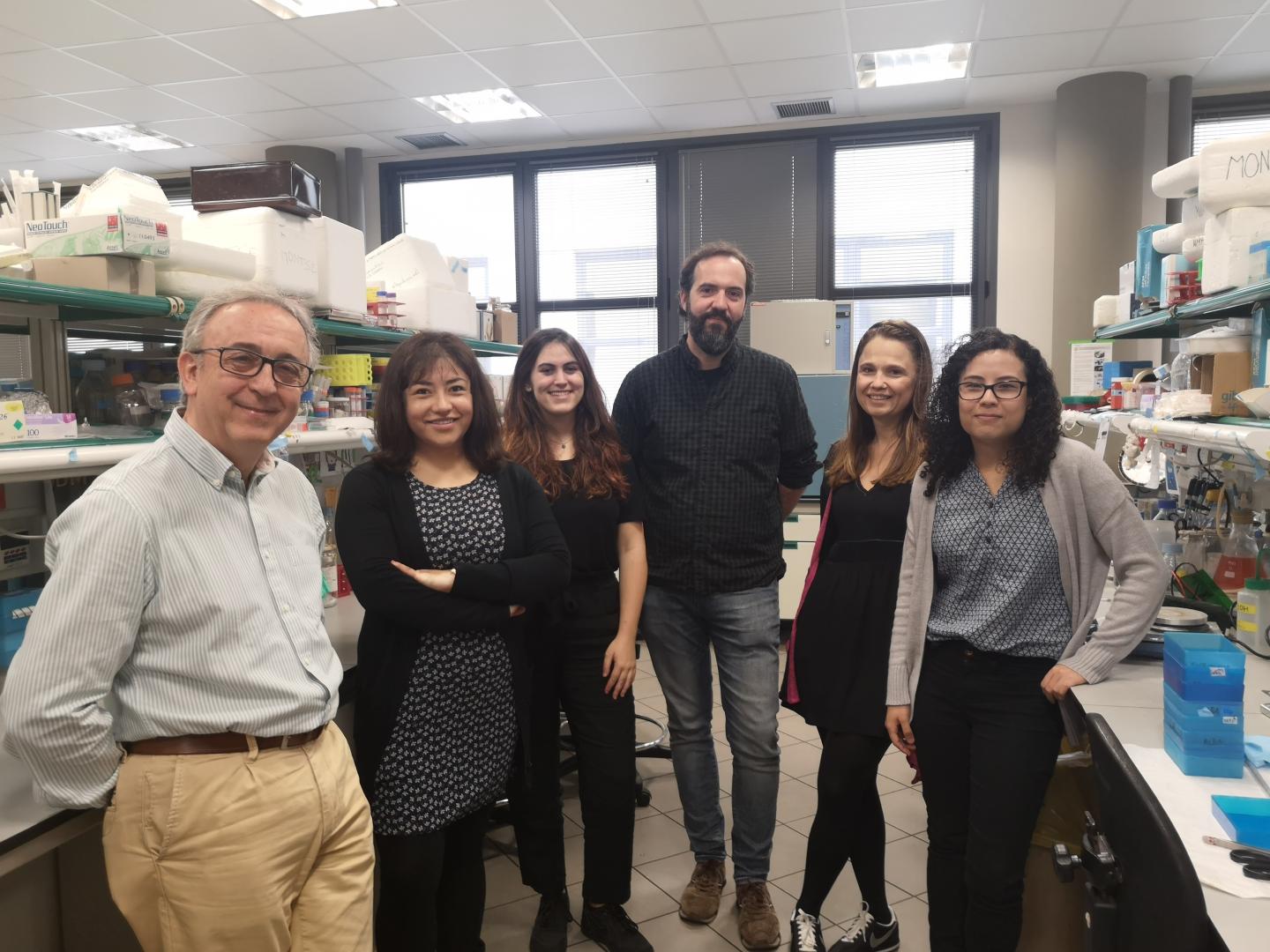 Antonio Zorzano and Team