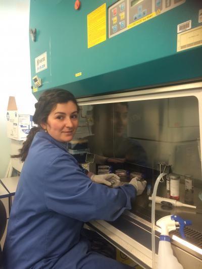 Dr. Sara Pijuan-Galito in the Laboratory