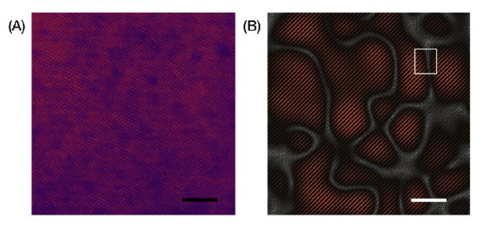 Microscopic views of the manganese material