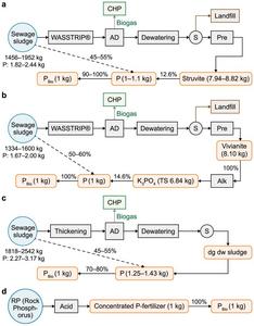 Detailed processes and parameters in three P recovery scenarios and P chemical fertilizer application. a, Struvite scenario; b, Vivianite scenario; c, Treated sludge scenario; d, P chemical fertilizer application. WASSTRIP®: Waste Activated Sludge Stripp