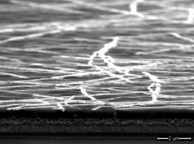 Perovskite Transparent Electrode