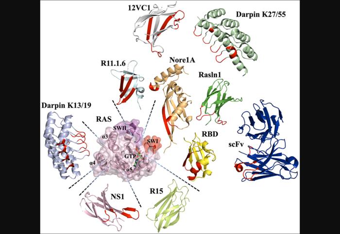 Figure 3. [IMAGE] | EurekAlert! Science News Releases