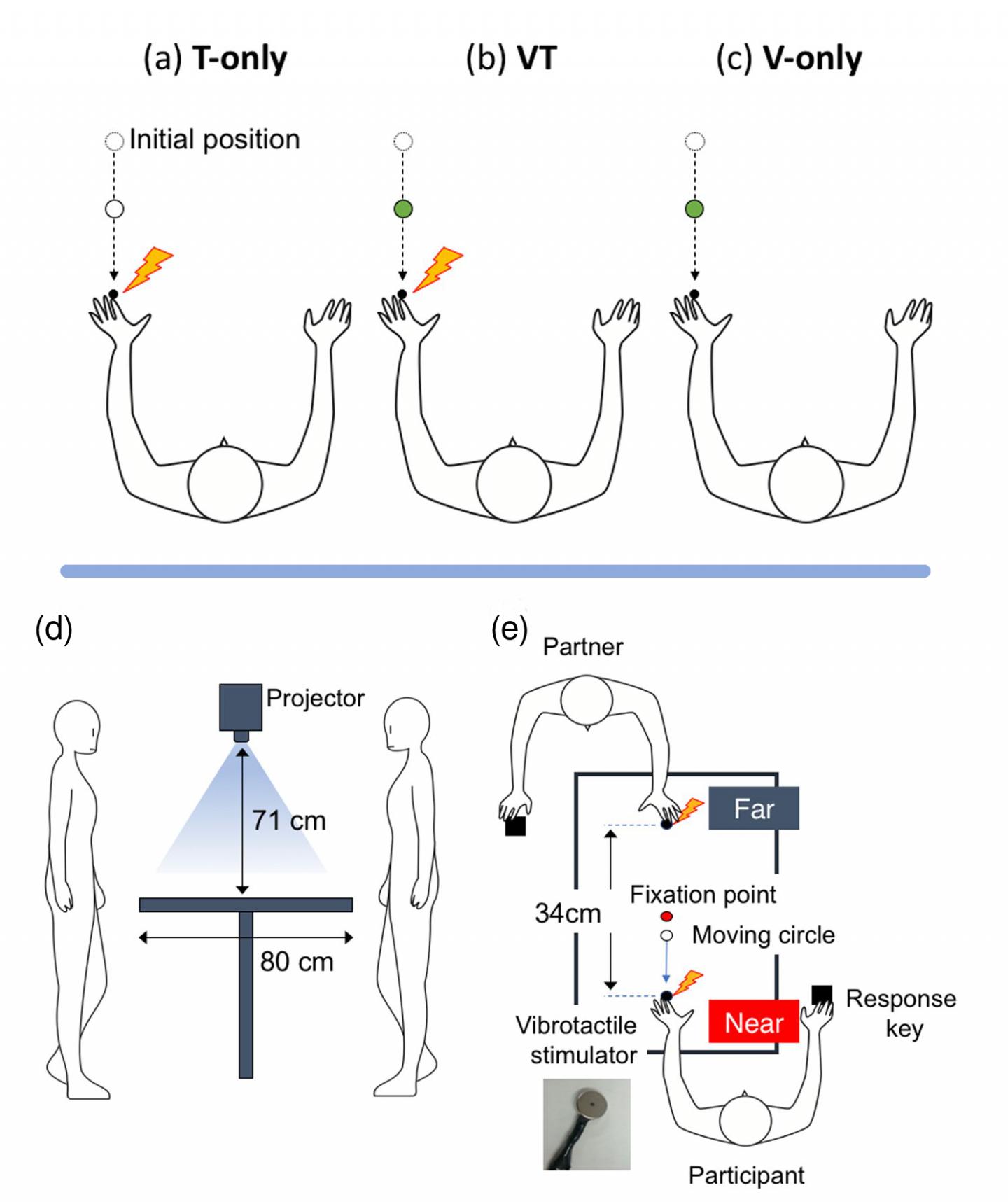 Types of Stimuli and Experimental Setup