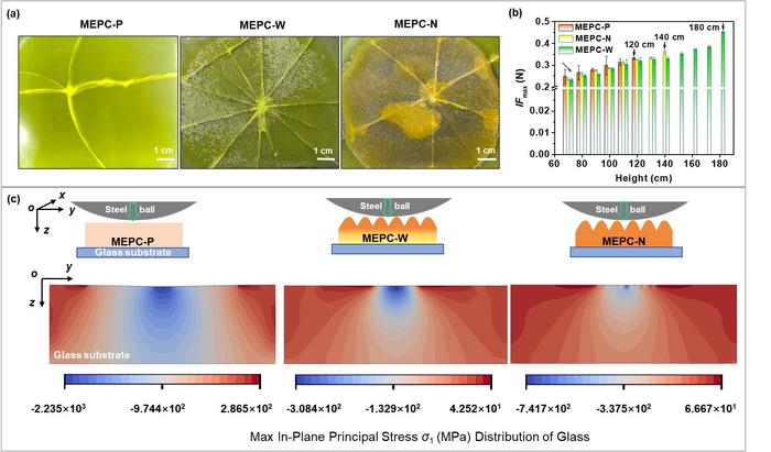 Impact-resistance tests of glass substrates coated with the self-wrinkling photo-curing coating.