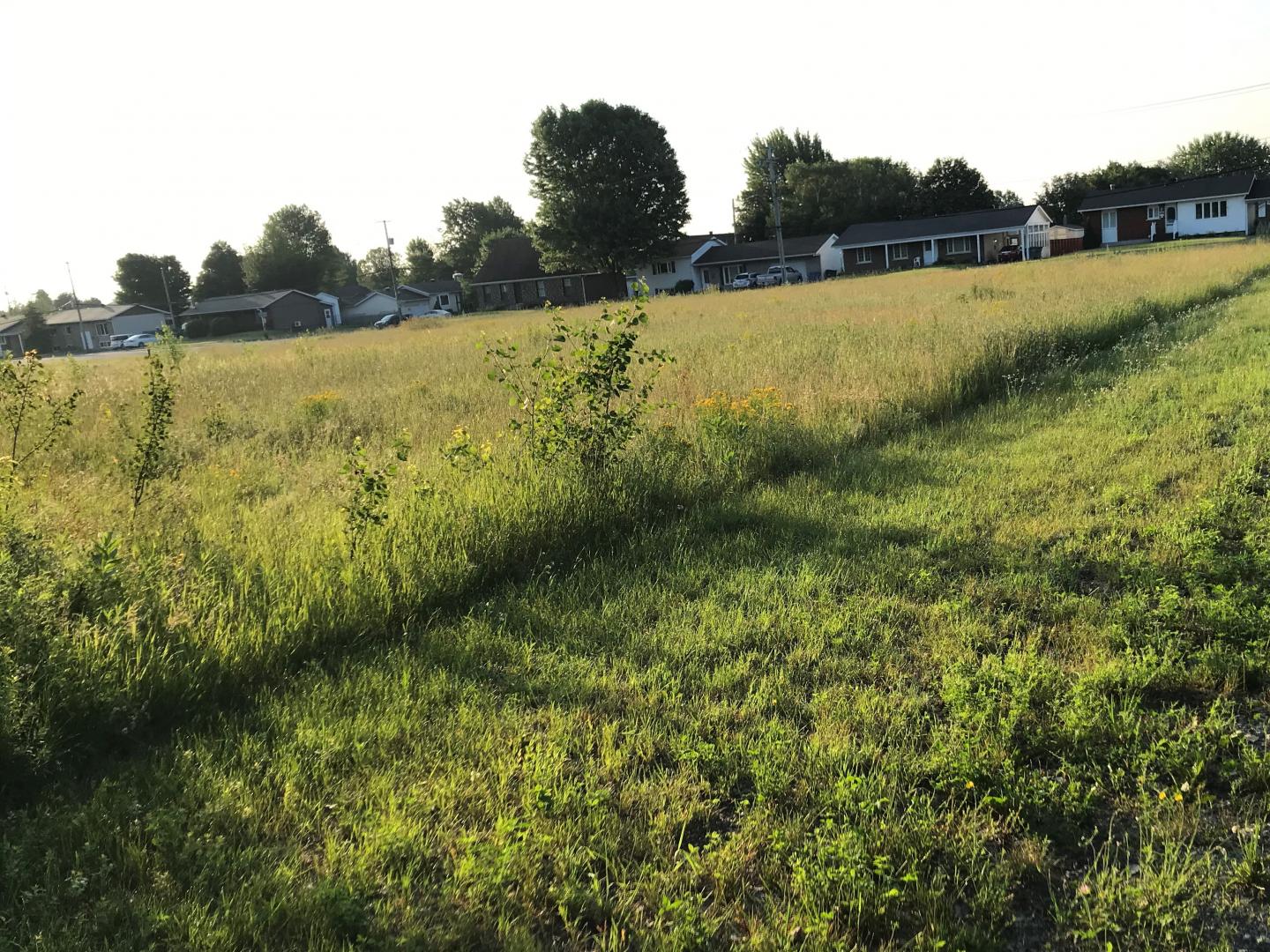 An Experimental Site Comparing the Ecological Effects of Intense Mowing with Low Impact Mowing