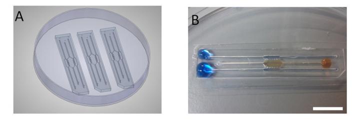Cancer Breakthrough by Professor Roger Phillips and Dr. Simon Allison