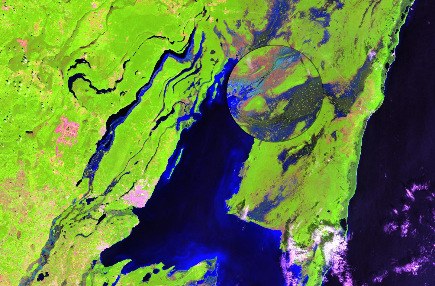 Landsat-8 Shortwave Infrared Composite (6,5,4) image of Lake Bacalar, Mexico