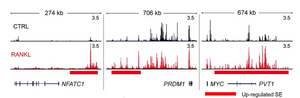 Representative tracks of H3K27ac ChIP-seq at NFATc1, PRDM1, and MYC loci under the indicated conditions.