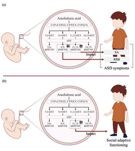 Polyunsaturated fatty acids and its association with autism spectrum disorder (ASD)