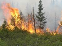 Fire Spreading across a Boreal Forest