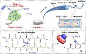 Design and fabrication process of rare earth ion-reinforced silk fibers