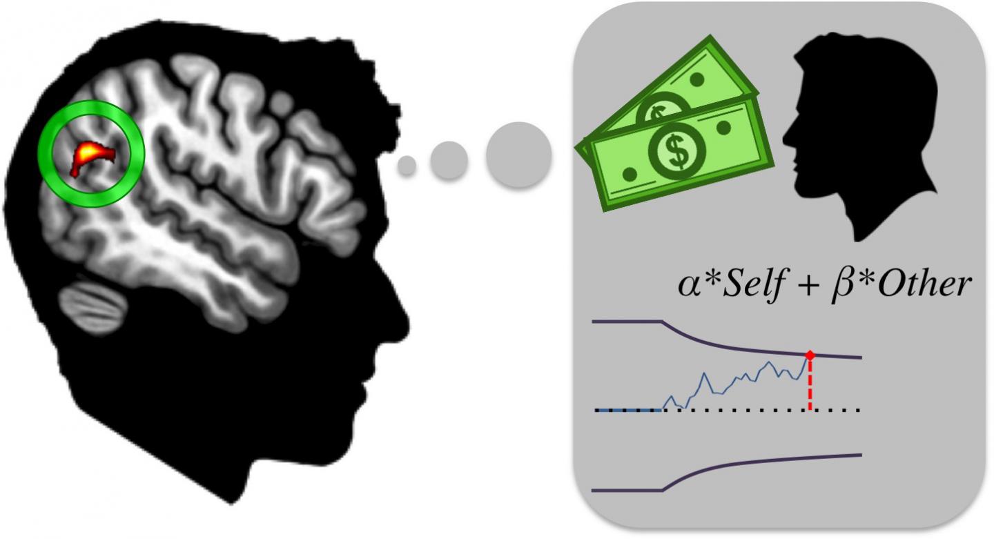 Computational Model of Altruism