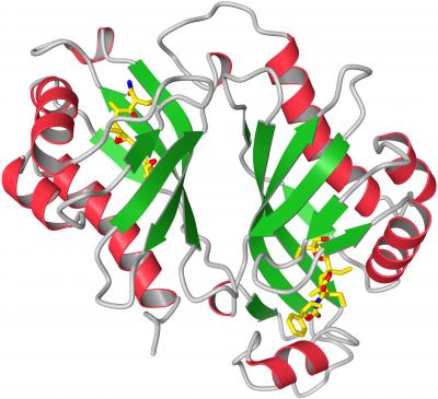 Crystal Structure of Lsd19