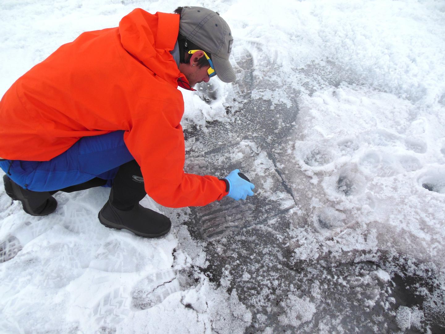 Researcher Collecting Algae