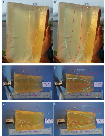 Tipped and Untipped Wound Track