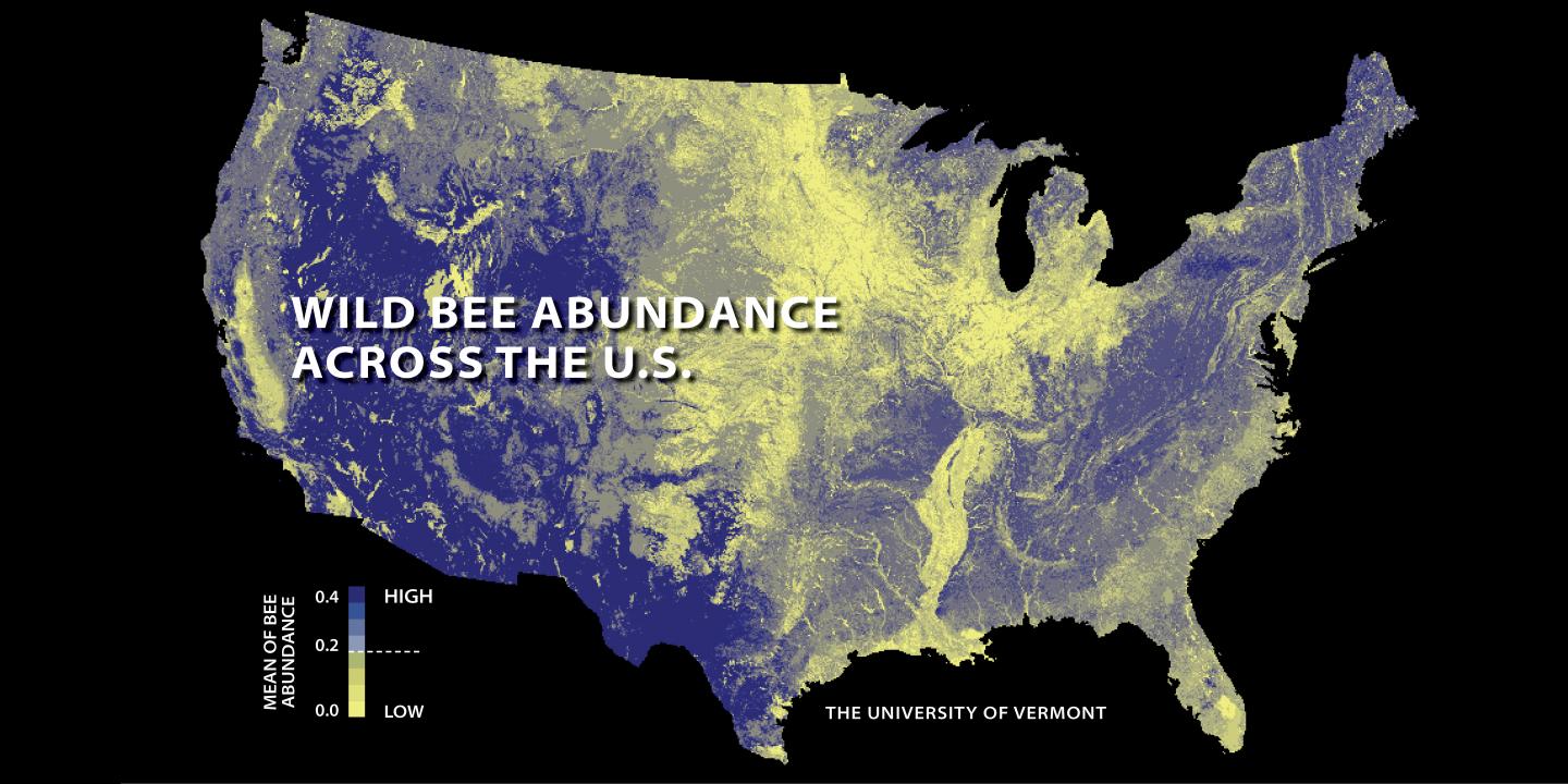 Map: Wild Bee Abundance Across the US