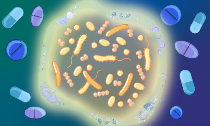 Better Together: Gut Microbiome Communities’ Resilience to Drugs