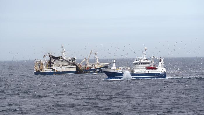 Spatial restrictions inadvertently doubled the carbon footprint of Norway’s mackerel fishing fleet
