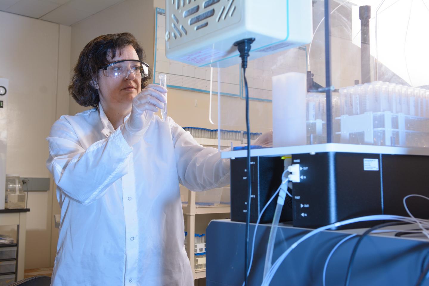 Gwyneth Gordon, Arizona State University