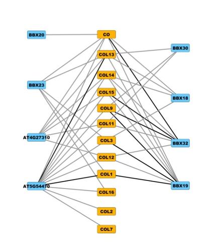 New Method to Rapidly Map the 'Social Networks' of Proteins