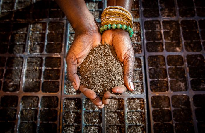 Hands holding soil