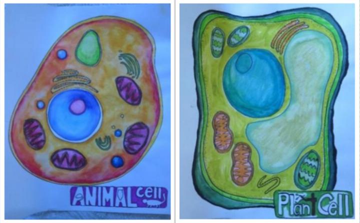 Assignments in Arts-Integrated Life Science Classroom