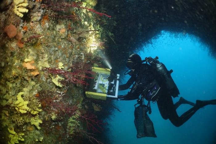 Un dispositivo “huele” el agua de mar para descubrir y detectar moléculas nuevas