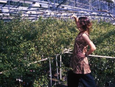 Leslie McGinnis, 	University of Washington 