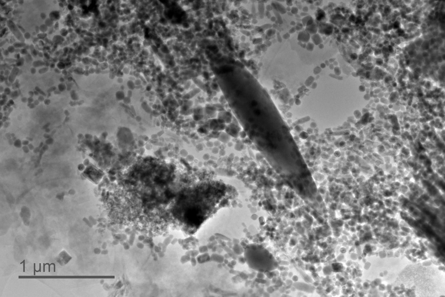 Transmission electron microscopy image of giant magnetofossils from Wilson Lake sediments.