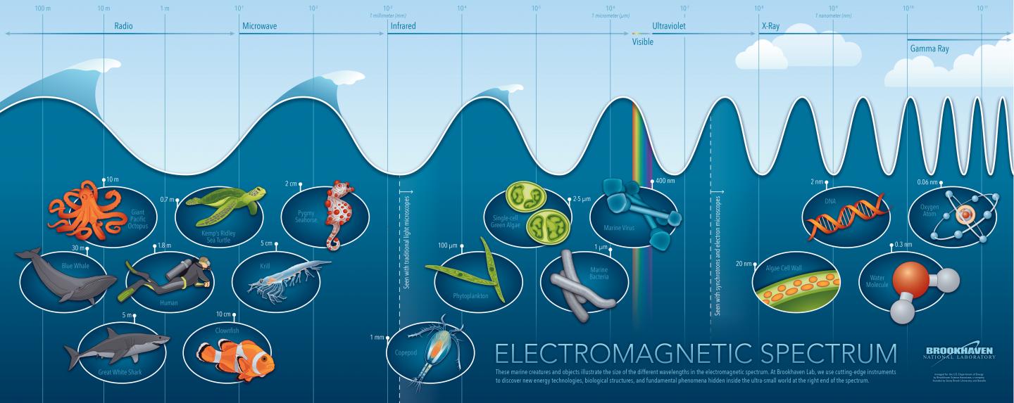 Oceanic Electromagnetic Spectrum