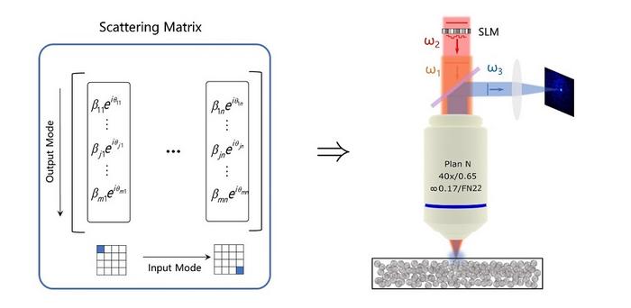 Scattering matrix method controls nonlinear light in scattering media.