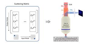 Scattering matrix method controls nonlinear light in scattering media.