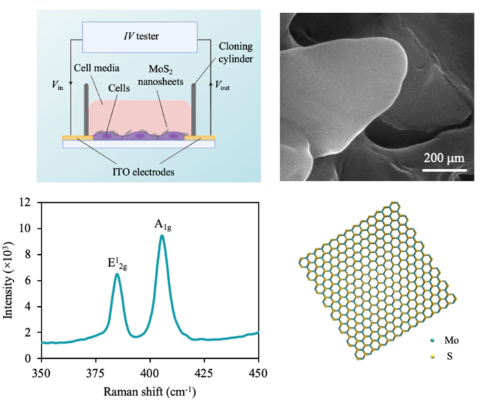 Two-dimensional material-based electric current sensor