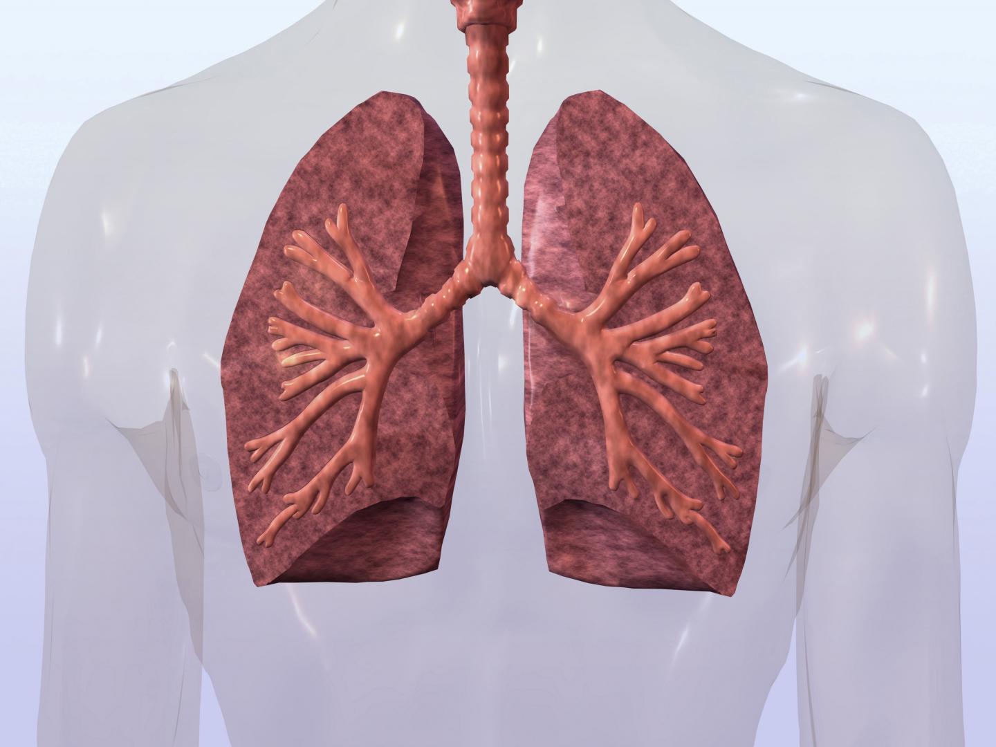Lung Disease