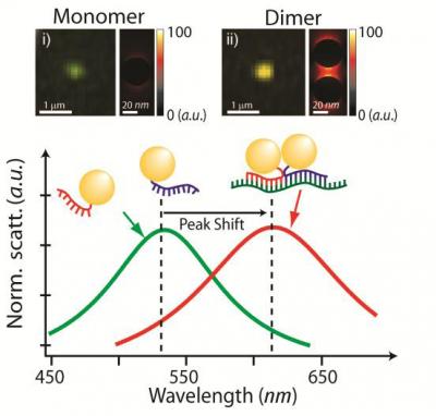 Properties of Dimers when Illuminated