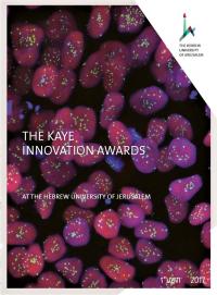 Image: The 2017 Kaye Innovation Awards