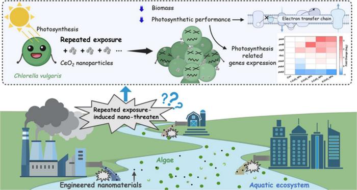 Impact of Repeated CeO2 Nanoparticle Exposure on Algal Photosynthesis and Biomass.