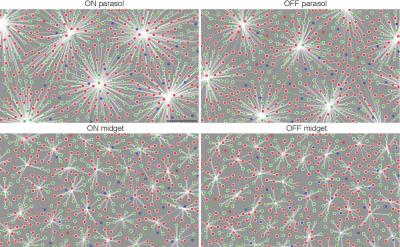 From Eye to Brain (1 of 3)