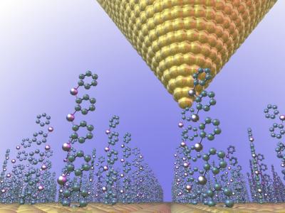 Molecular Thermoelectric Devices (Simulation)